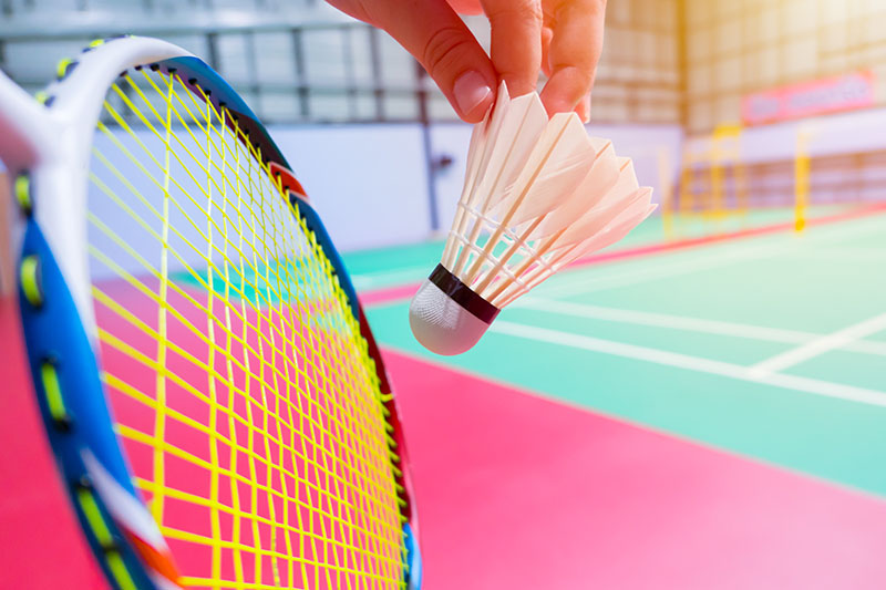 DU Activité physique et sportive Badminton