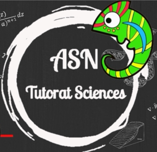 ASN Tutorat