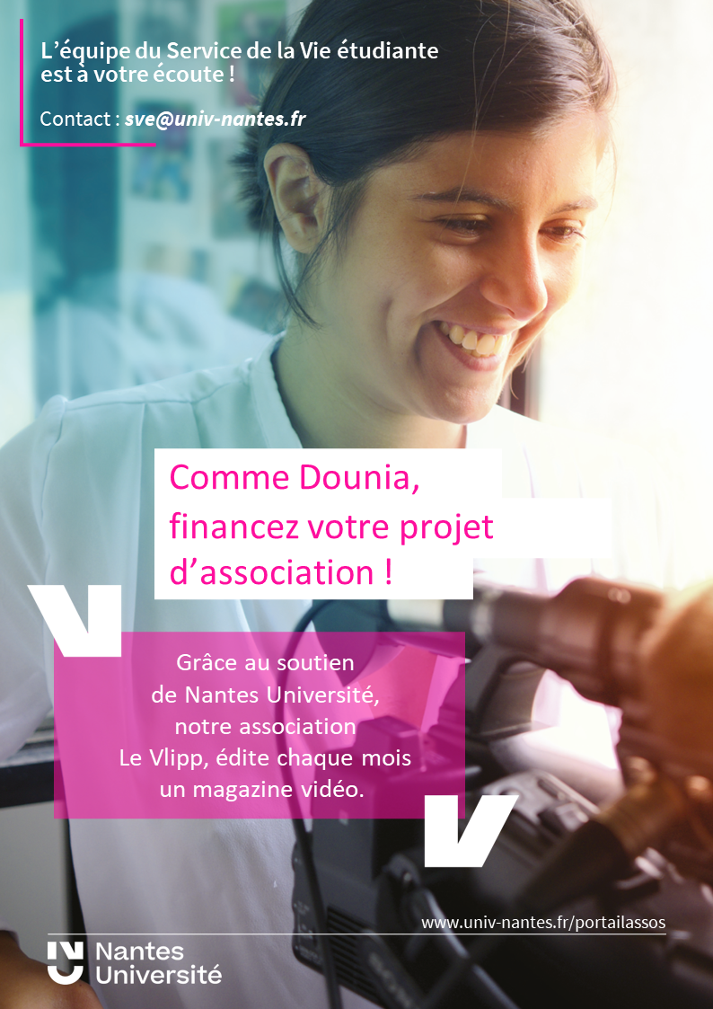Affiche pour le FSDIE