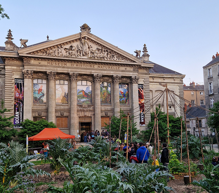 Museum d'histoire naturelle de Nantes